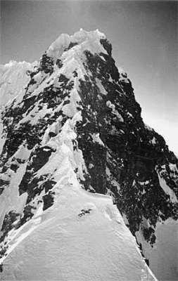 Екатерина Горбачева, Кристина Ляхова - Рекорды в мире природы