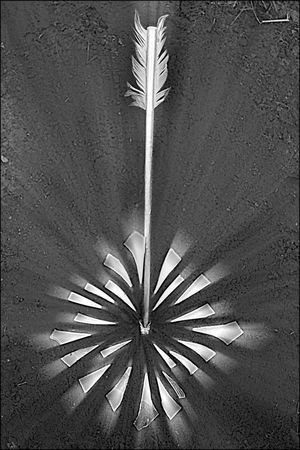 Анна Бену - Танцующие с волками. Символизм сказок и мифов мира