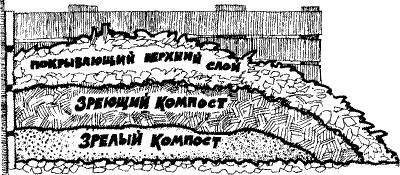 Николай Курдюмов - Умный огород