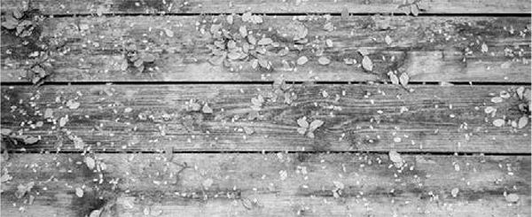 Александр Логунов - Мудрые мысли о дружбе