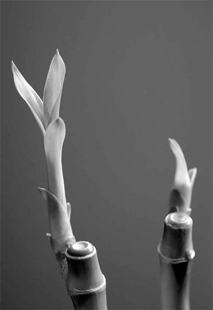 Александр Логунов - Мудрые мысли о дружбе