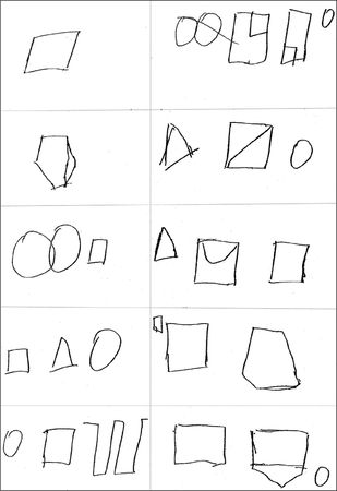 Анастасия Черкасова, Дмитрий Яничев - Особенности дифференциальной диагностики...