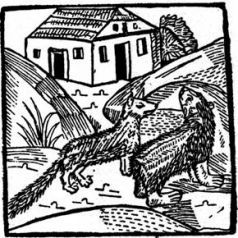 Средневековая литература - История хитрого плута, лиса Рейнарда