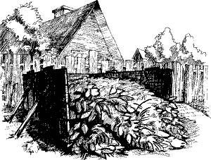 Николай Курдюмов - Умный огород