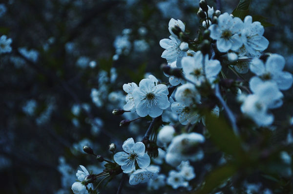 Карина Санлайф - ПритяЖЕНственность благополучия