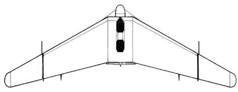 Дмитрий Соболев - Столетняя история "летающего крыла"