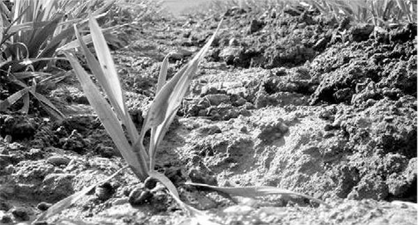 Александр Логунов - Мудрые мысли о дружбе