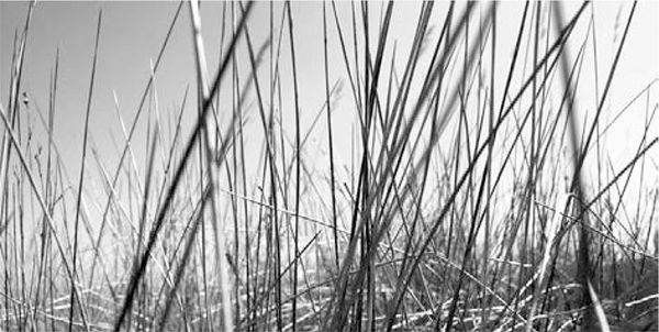 Александр Логунов - Мудрые мысли о дружбе