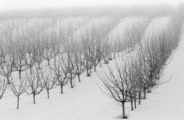 Александр Логунов - Мудрые мысли о дружбе