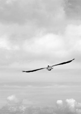 Александр Логунов - Мудрые мысли о дружбе