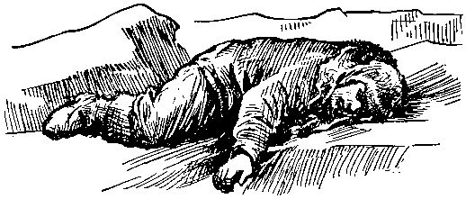 Николай Трублаини - "Лахтак". Повесть