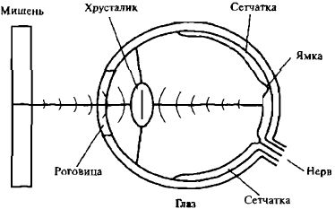 Амит Госвами - Самосознающая вселенная. Как сознание создает материальный мир