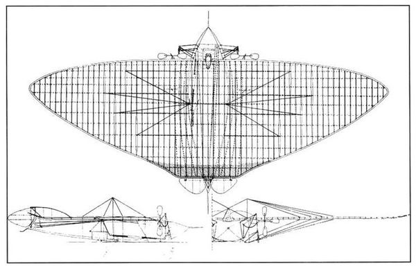 Дмитрий Соболев - Столетняя история "летающего крыла"