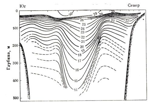 Даниил Богданов - Тропический океан