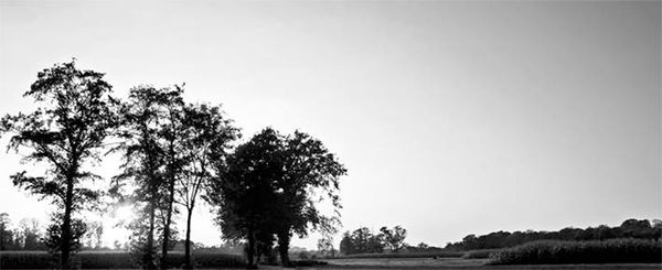 Александр Логунов - Мудрые мысли о дружбе