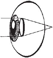 Игорь Афонин - Сними очки за 10 занятий