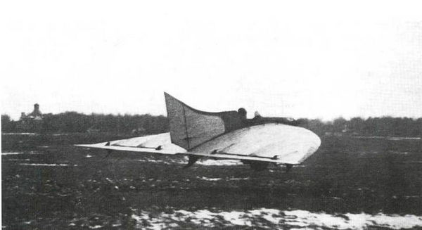 Дмитрий Соболев - Столетняя история "летающего крыла"