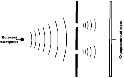 Амит Госвами - Самосознающая вселенная. Как сознание создает материальный мир