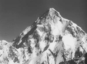 Екатерина Горбачева, Кристина Ляхова - Рекорды в мире природы