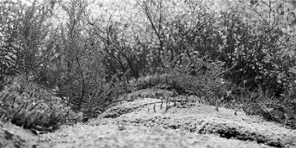 Александр Логунов - Мудрые мысли о дружбе