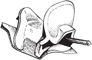 Роман Светлов - Великие сражения Востока