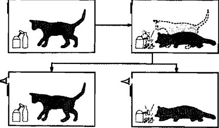 Амит Госвами - Самосознающая вселенная. Как сознание создает материальный мир