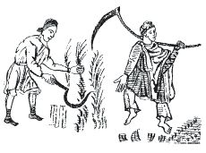 Марджори Роулинг - Европа в Средние века. Быт, религия, культура