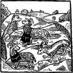 Средневековая литература - История хитрого плута, лиса Рейнарда