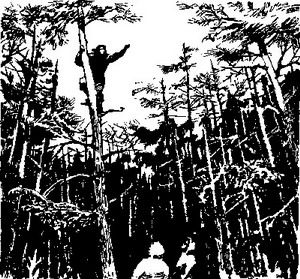 Виктор Болдырев - Гибель синего орла. Приключенческая повесть