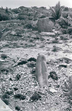 Эрих Дэникен - Доказательства существования богов. Более 200 сенсационных...