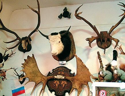 Александр Юдин - Сибирь. Путеводитель