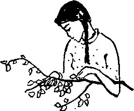 Юрий Рытхэу - Чукотская сага