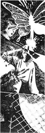 Сергей Николаев - Записки ангела