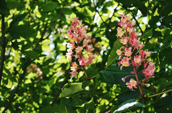 Карина Санлайф - ПритяЖЕНственность благополучия