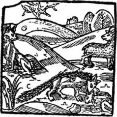 Средневековая литература - История хитрого плута, лиса Рейнарда