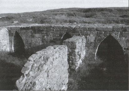 Сергей Алексеев, Александр Инков - Скифы: исчезнувшие владыки степей