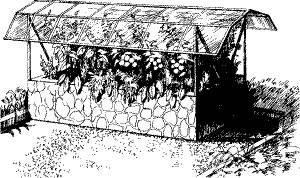 Николай Курдюмов - Умный огород