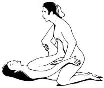 Наташа Майер - Камасутра