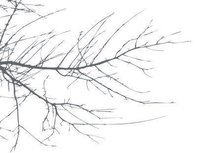 Марина Паншина - Сердце на ладони