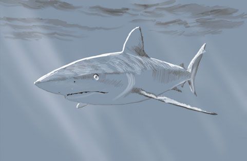 Анатолий Гин - ТРИЗ-педагогика