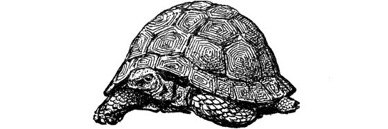 Еремей Парнов - Драконы грома