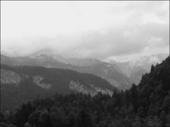 Андрей Низовский - Сокровища Третьего рейха