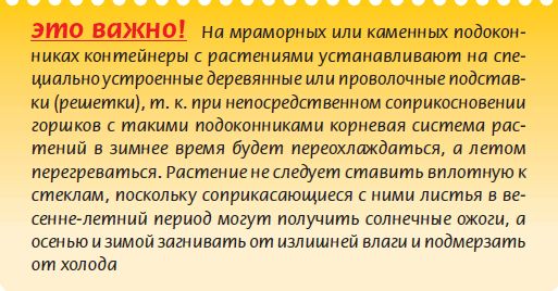 Мария Згурская - Древесные растения