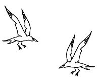 Кевин Кроссли-Холланд - Костяной браслет