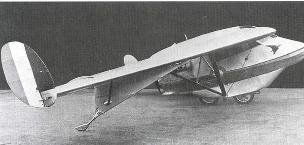 Дмитрий Соболев - Столетняя история "летающего крыла"