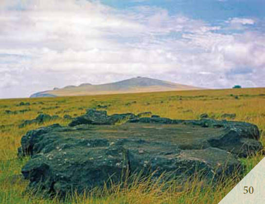 Эрих Дэникен - Доказательства существования богов. Более 200 сенсационных...