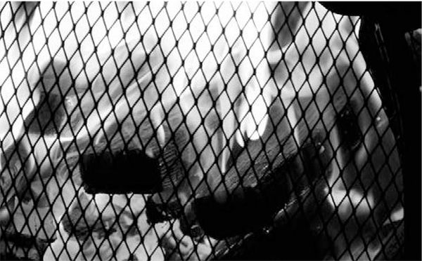 Александр Логунов - Мудрые мысли о дружбе