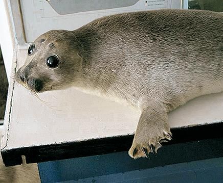 Александр Юдин - Сибирь. Путеводитель