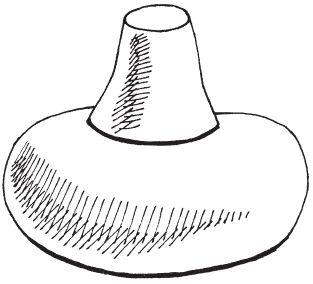 Майкл Эдвардс - Древняя Индия. Быт, религия, культура