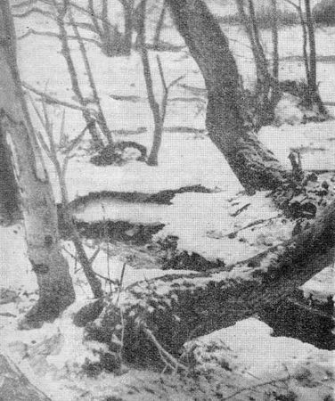 Ярослав Даркшевич, Валерий Капустин и др. - Росные тропы